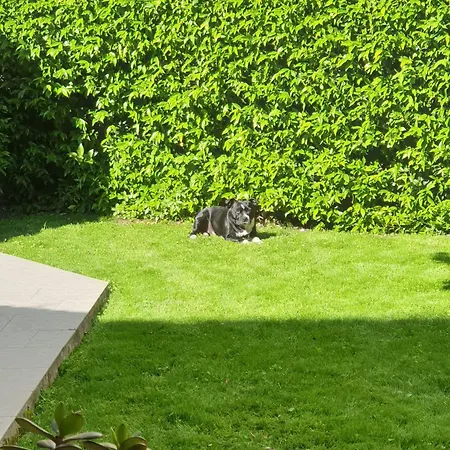 Keti Appartement Viareggio