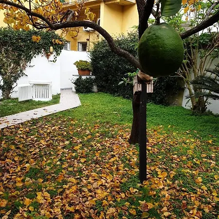 Appartamento Keti Viareggio